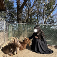 💌𓈒𓏸⌇お礼