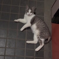 おやすみなさい𓂃🫧‪