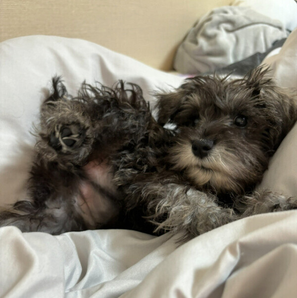 今晩の予定はもちろんね💖