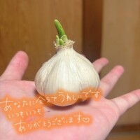 本指名様👶🏻🌟