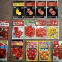 ドキドキ……はじめてで緊張してます……🍅