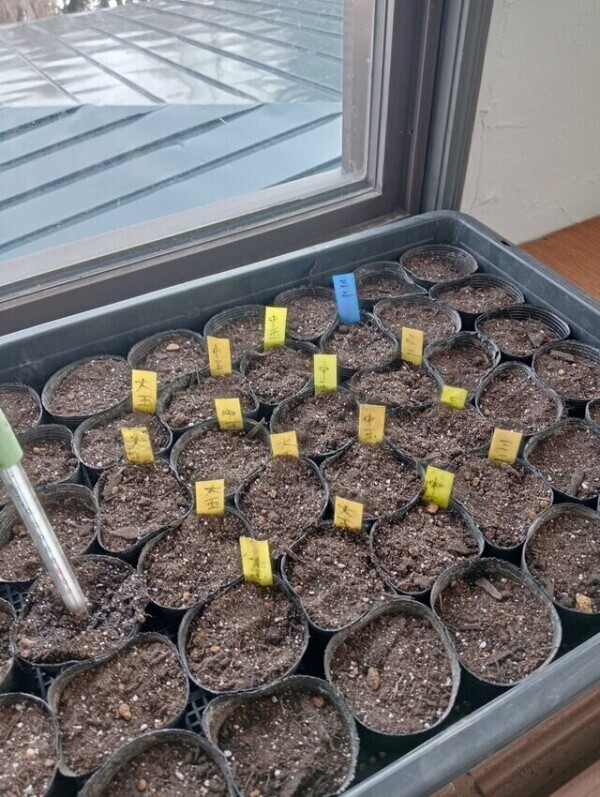 おれい♡ファーストウッド90分→120にコースアップありがとう🥲