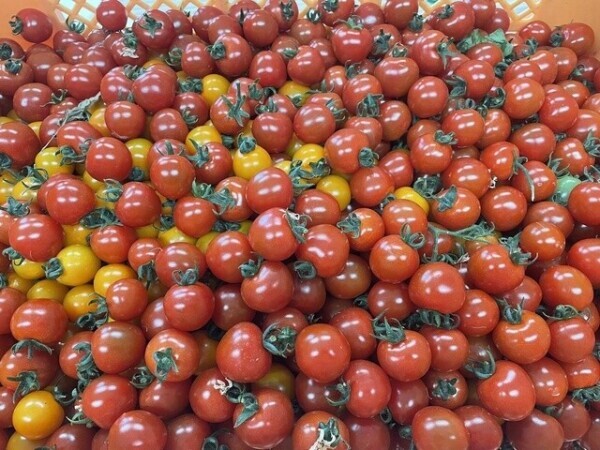 お礼♡ファーストウッド成田90分