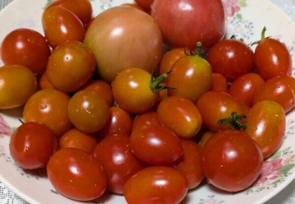 お礼♡ファーストウッド本指名様90分