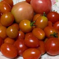 お礼♡ファーストウッド本指名様90分