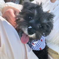 良き一日👶🏻‪‪‪🫶🏻