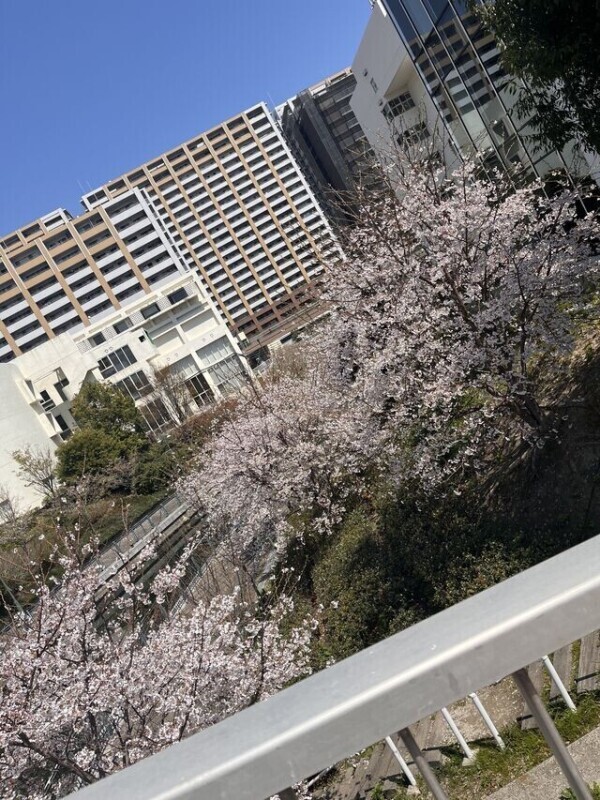 昨日のお礼💌𓂃𓈒𓂂𓏸