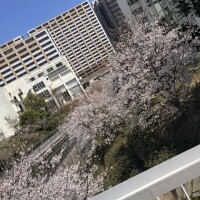 昨日のお礼💌𓂃𓈒𓂂𓏸