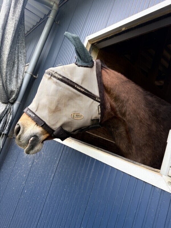 お礼♡バロン90分本指名様
