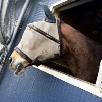 お礼♡バロン90分本指名様