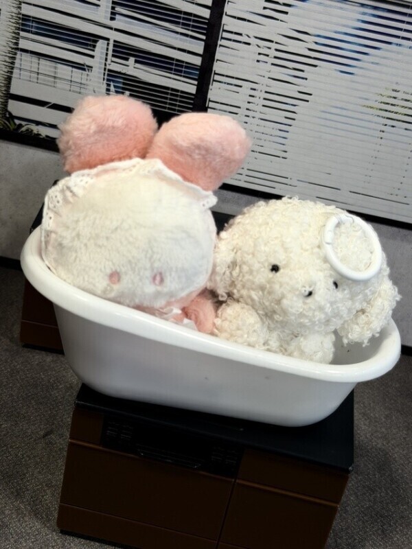 予約ありがとうございます(*ˊ꒳ˋ*)