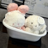 予約ありがとうございます(*ˊ꒳ˋ*)