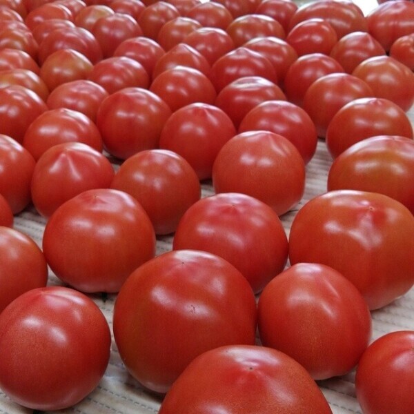 お礼♡バロン90分本指名様