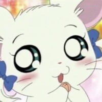 本指名様💝