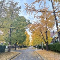 流川【るかわ】