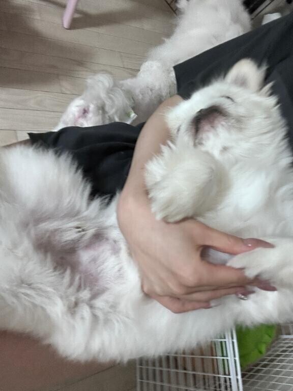 小梅参上💓