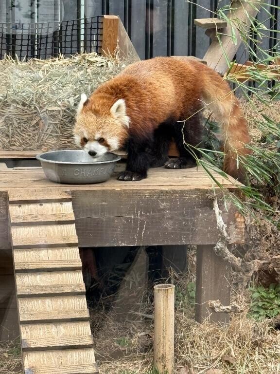 3日目ありがとう♡