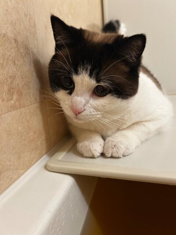 はじめまして