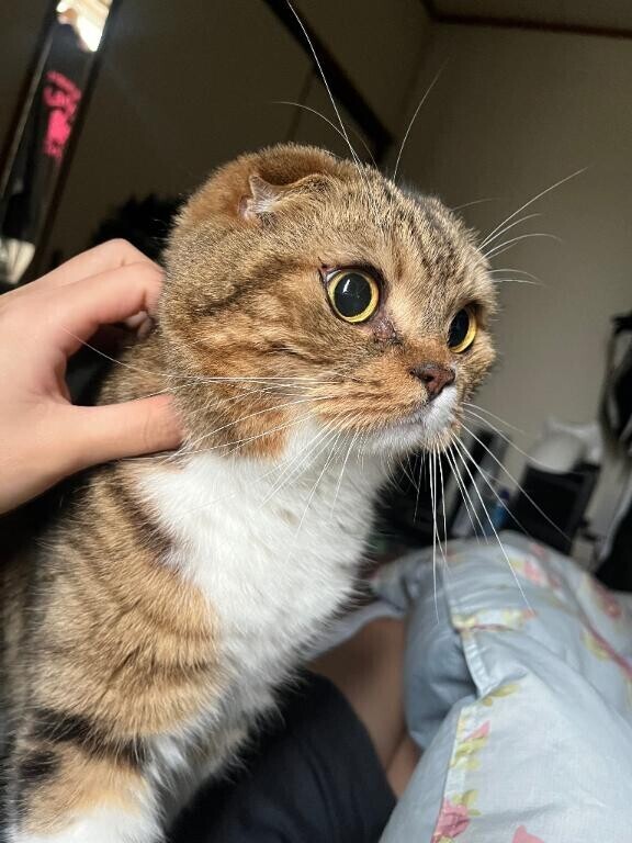 本日もお願いします🙇‍♀️