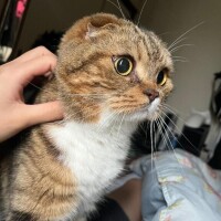 田中【たなか】