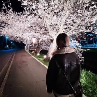 五木【いつき】