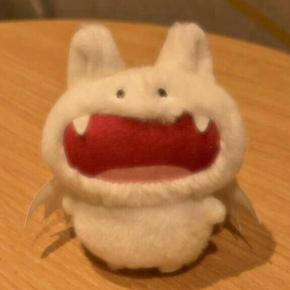 おはようございます🍀*゜