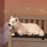 葉月【はづき】