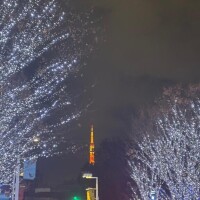 藤堂【とうどう】