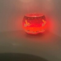 藤堂【とうどう】