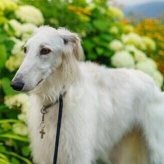 はじめまして(¨̮)‪︎❤︎