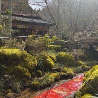 若月【わかつき】