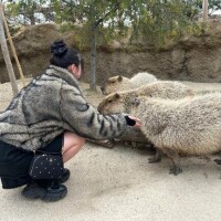 庄野【しょうの】