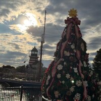 ?クリスマス?ごちそうわくわく?