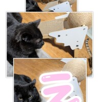 ゆうな
