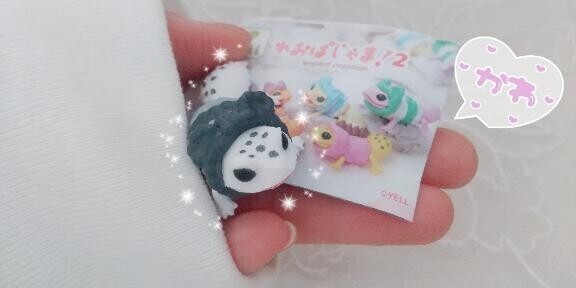レオパ癒やしすぎる??
