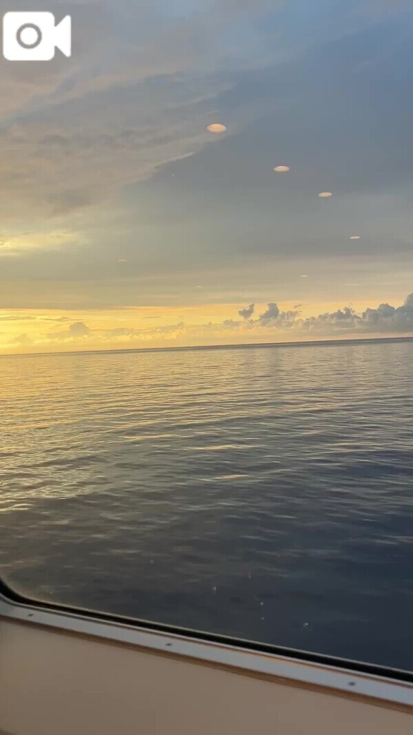 船旅🚢