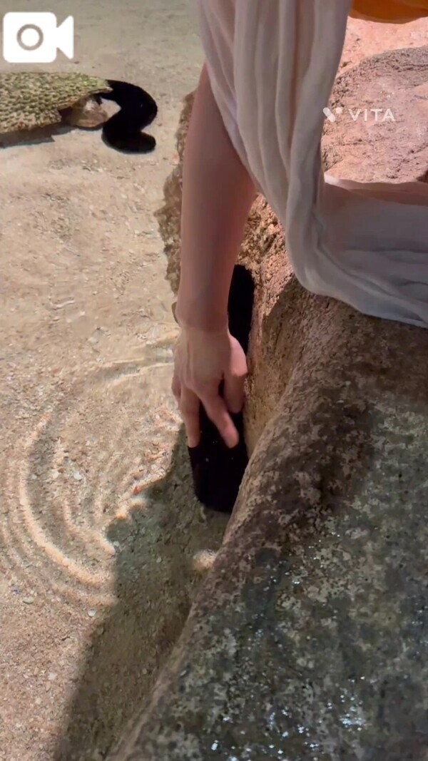 痴女の水族館🩷