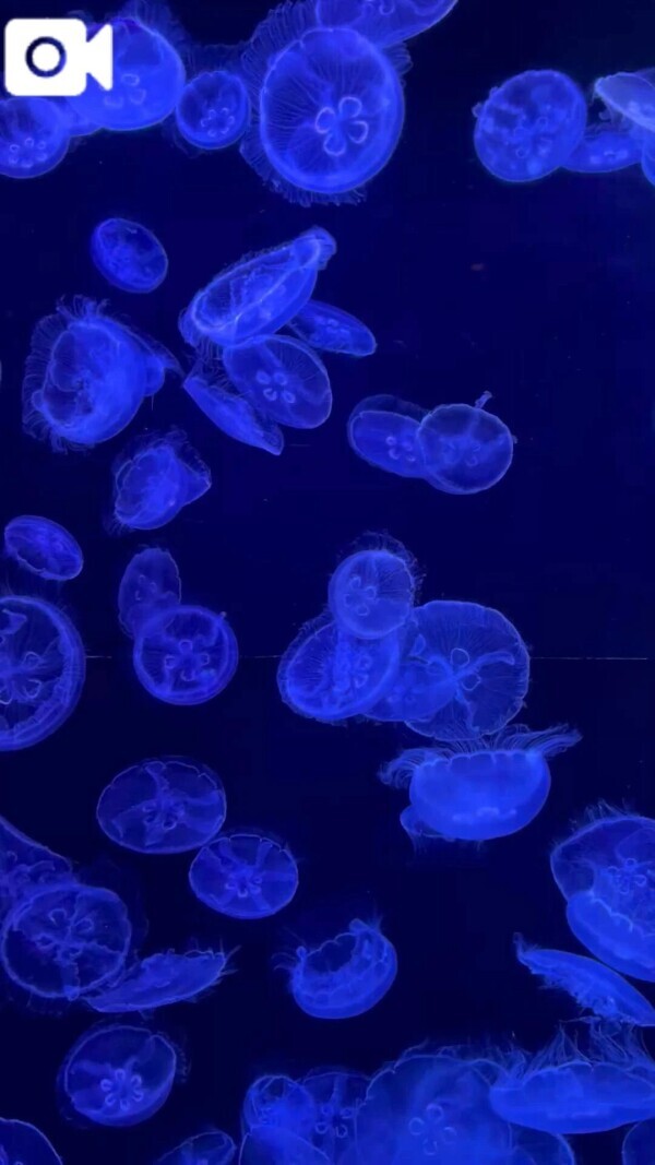 昨日はハマらせました🩷