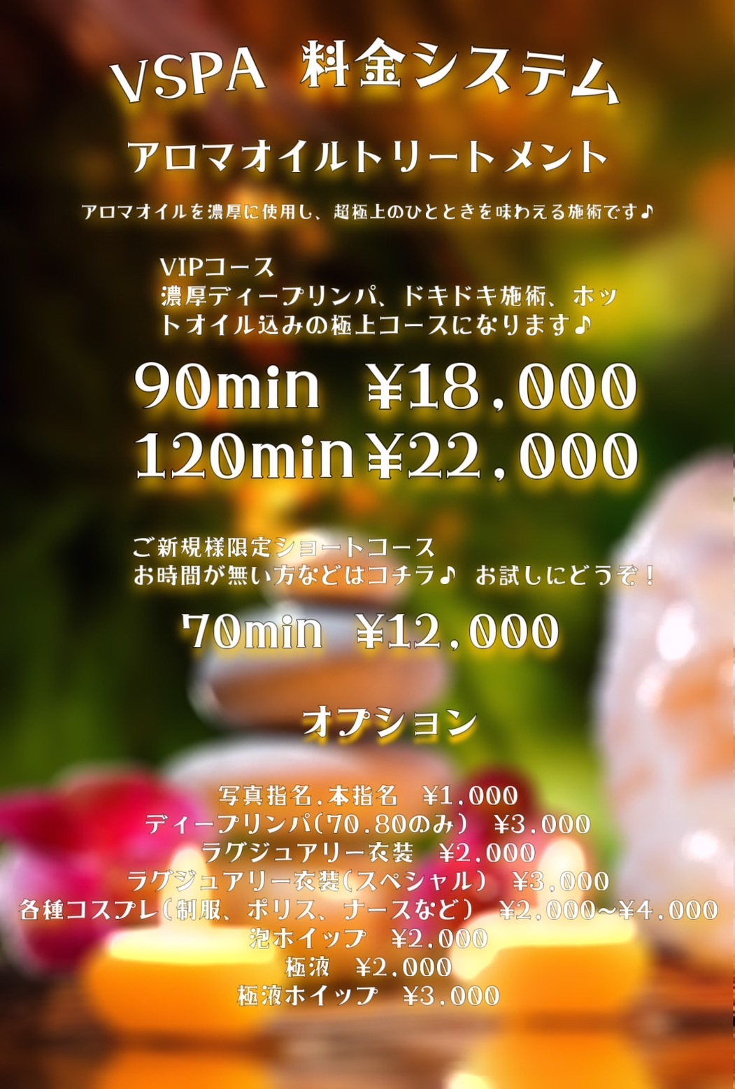 V SPAの料金表