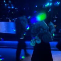 おはようございます?