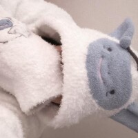 明日から???