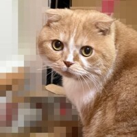 [お題]from:怒ってる？さん