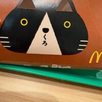お久しぶりです！