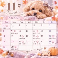 ?? 11月の出勤予定のお知らせ ??