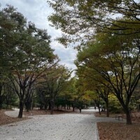 こんにちは。