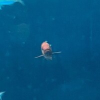??プライベート??日記?後編
