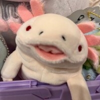 喉が～??