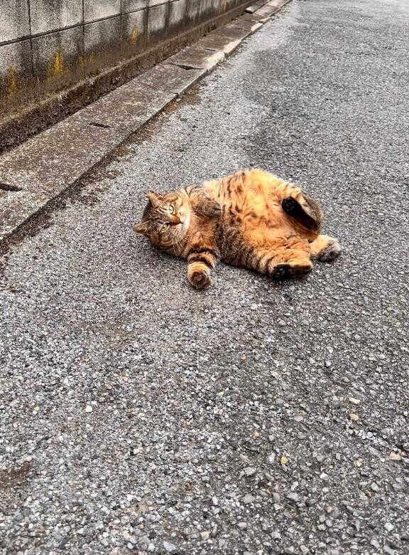 ?