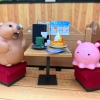 最近のあたち
