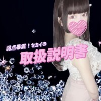?セカイのトリセツ?